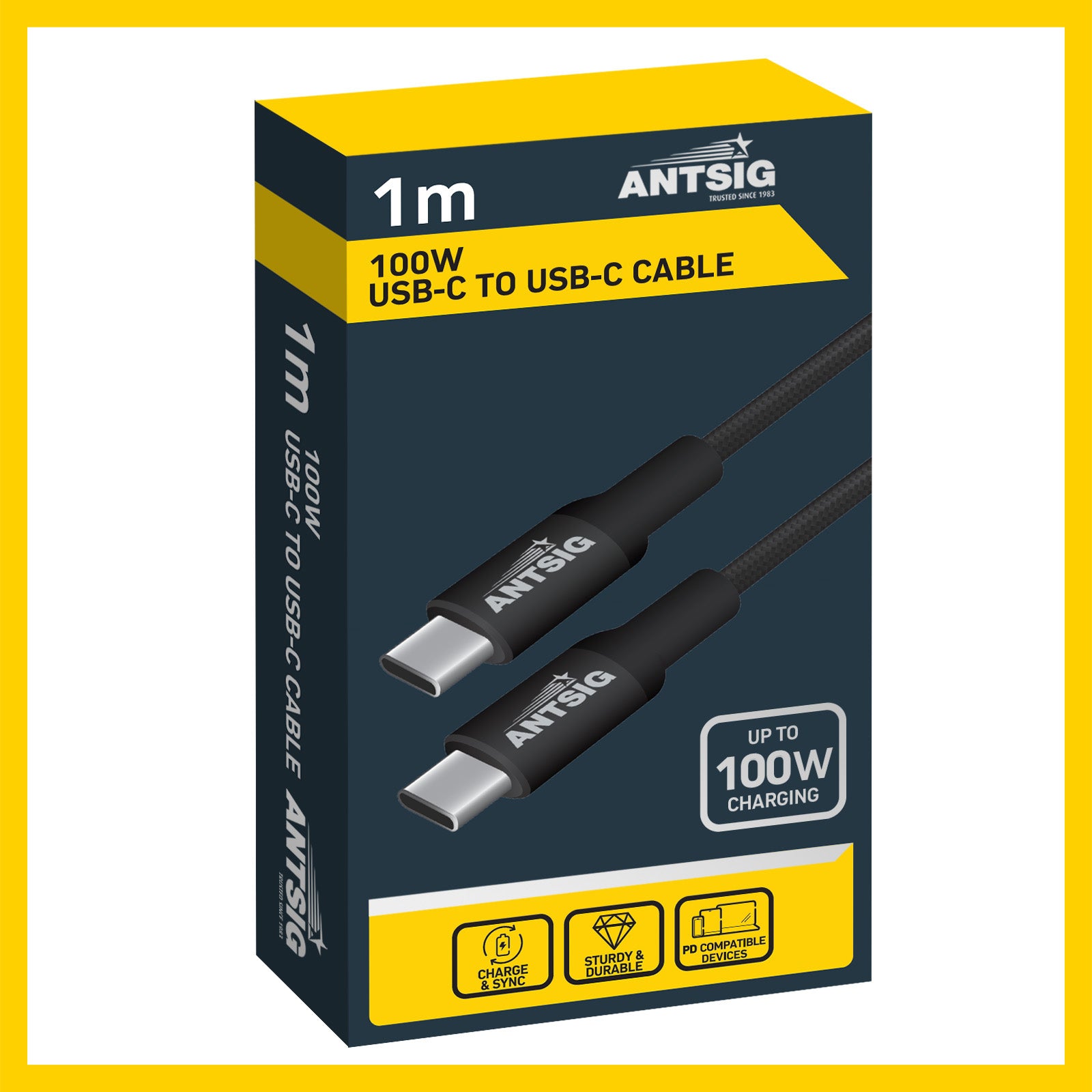 Antsig 1m 100W USB-C To USB-C Cable